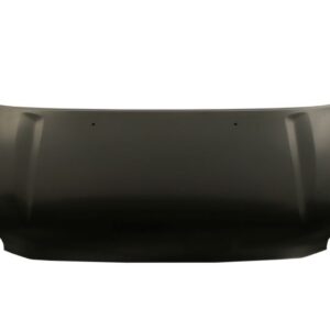 Motora pārsegs Bez Turbo - Toyota RAV4 01-