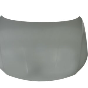 Volkswagen Passat CC Motora parsegs